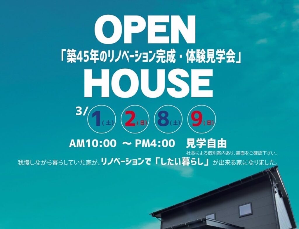 SaveClip.App_481964706_17896518927119909_1049541350683366077_n